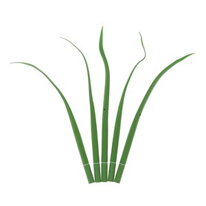 Stylo "Brin d'herbe"