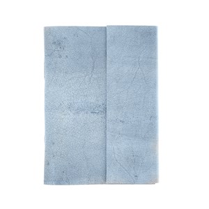 Carnet de voyage cuir bleu