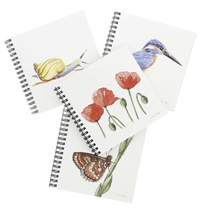 Carnet blanc escargot