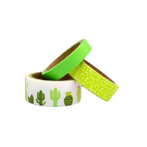 Masking tape cactus