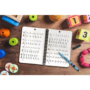 Carnet réutilisable Why Note Candid