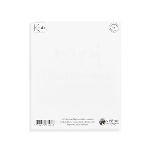 Carte format polaroid