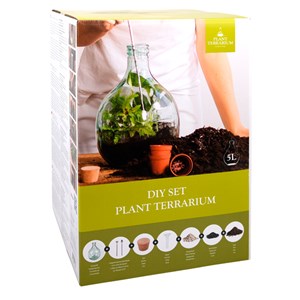 Terrarium à faire soi-même