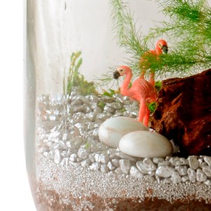 Terrarium à composer soi-même
