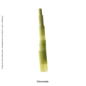 Huile essentielle bio* citronnelle 15ml