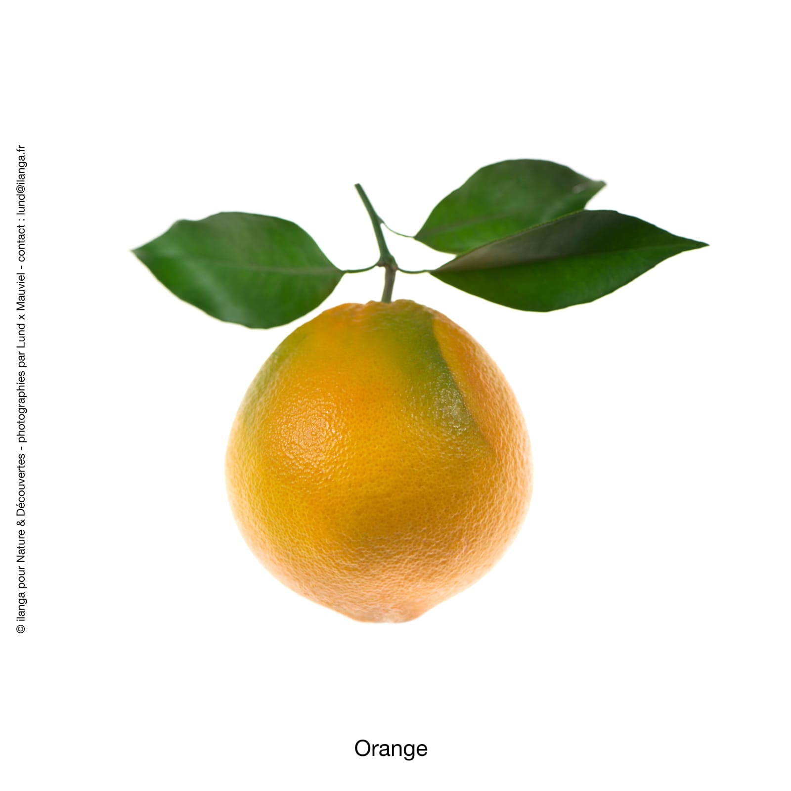 Huile Essentielle Orange douce d'Italie - MONDO BOUGIES