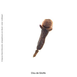 Huile essentielle bio* clous de girofle