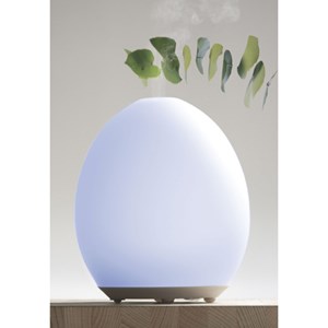 Transformateur diffuseur 15184870