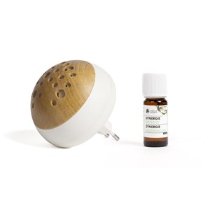 Diffuseur et sa synergie fraîcheur