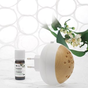 Diffuseur et sa synergie fraîcheur