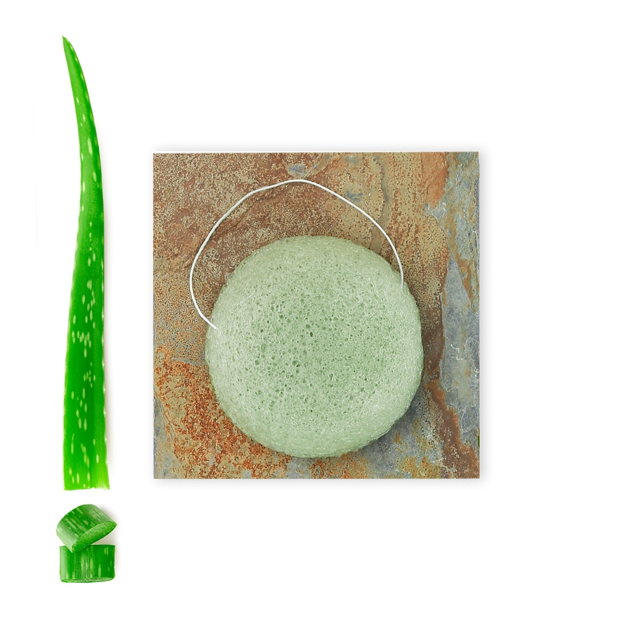 Lady Green Éponge Konjac Merveilleuse Aloe Vera - Boutique en ligne Ecco  Verde