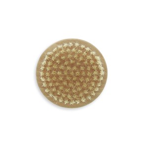 Mini brosse de bain