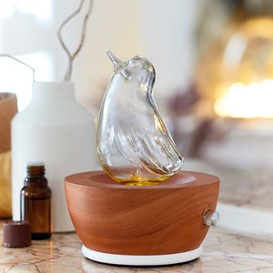 Réducteur de bruit pour 15208580