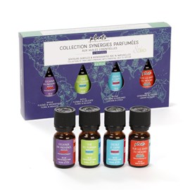 Coffret 4 synergies Escales du monde