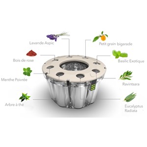 Robot d’aromathérapie beauté bien-être