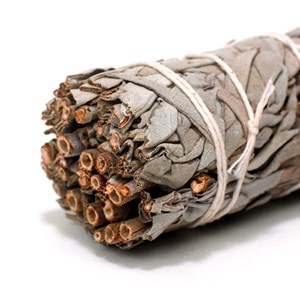 Sauge blanche à brûler