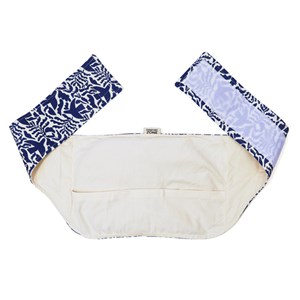 Ceinture chauffante graines de lin