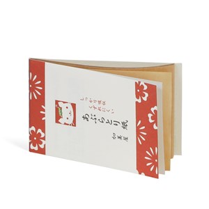 Papier matifiant japonais