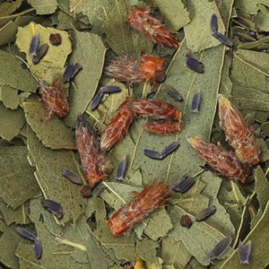 Préparation pour inhalation