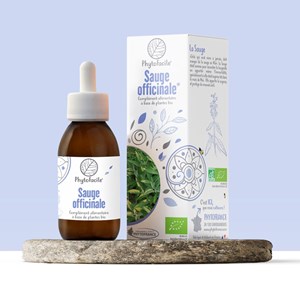 Phytofacile sauge officinale