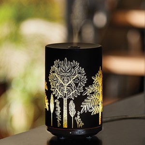 Verrerie pour 60161030 occasion bon état