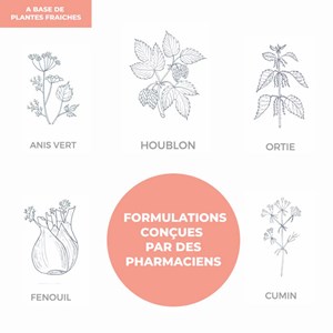 Infusion allaitement Officine Immortelle