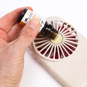 Mini ventilateur diffuseur Rouge