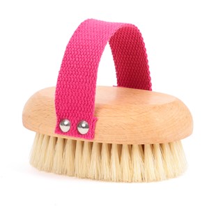 Brosse de massage à sec