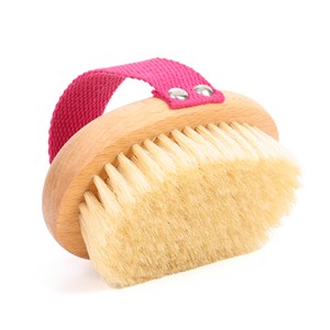 Brosse de massage à sec