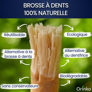 Brosse à dent naturelle Siwak