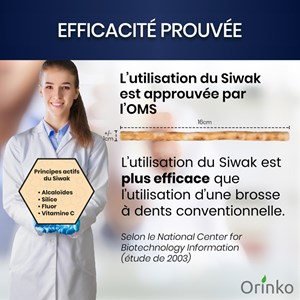 Brosse à dent naturelle Siwak