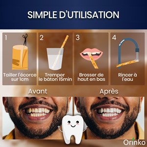 Brosse à dent naturelle Siwak