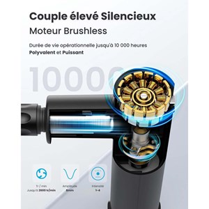 Pistolet de massage Renpho Extend