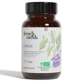 Gélules extrait de chaga immunité, digestion, vitalité French Mush