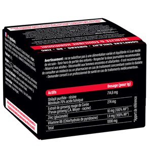Complexe Shilajit de l’Himalaya & ginseng rouge de Corée vitamine B6 zinc 50