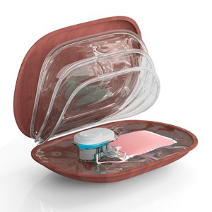 Bouillotte électrique sans fil rechargeable housse velours rose Terraillon