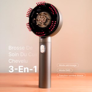 Brosse de massage cuir chevelu LED 3 en 1 rechargeable Renpho