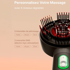Brosse de massage cuir chevelu LED 3 en 1 rechargeable Renpho