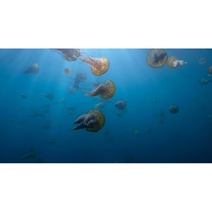 Voyage of Time : Au fil de la vie