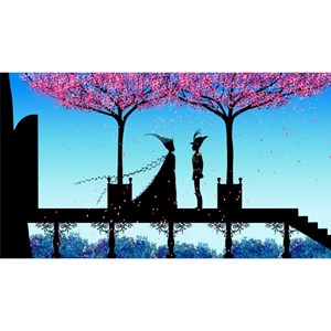 Coffret DVD L'enfant au grelot + Princes