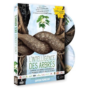 DVD L'intelligence des arbres