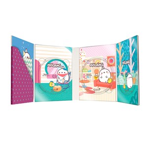 Coffret DVD Molang