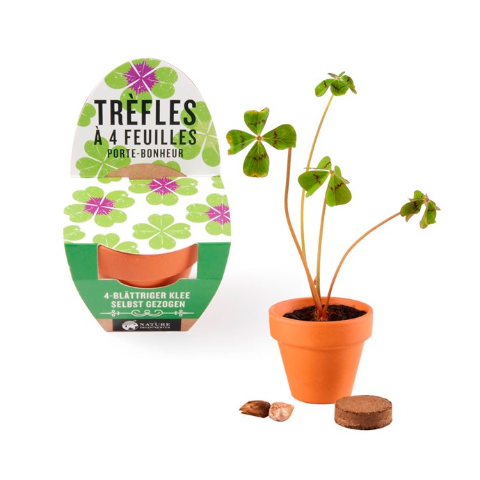 Mini kit de trèfles à 4 feuilles Nature & Découvertes