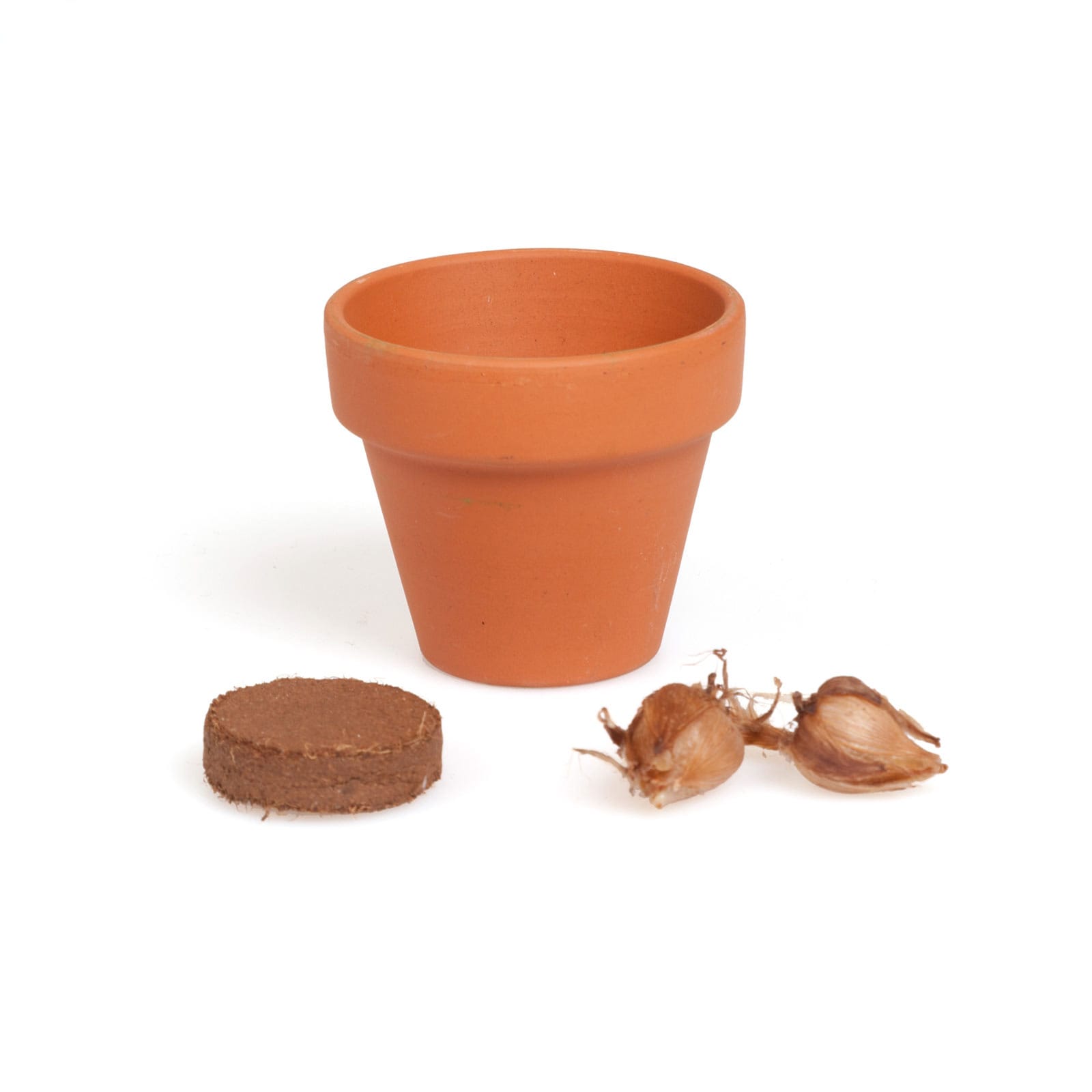 Mini-pot Trèfle à 4 feuilles, Science & nature