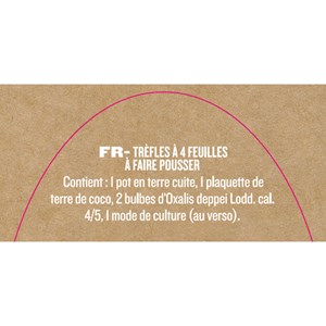 Mini kit de trèfles à 4 feuilles