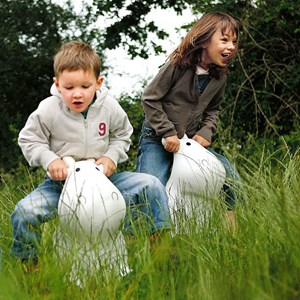 Rosalie la vache qui rebondit