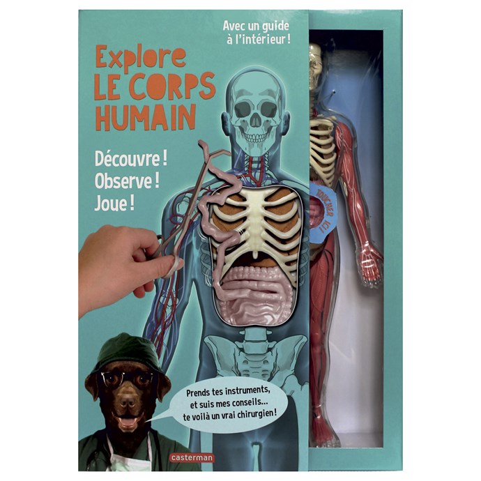 Illustration Abstraite De L'anatomie Du Corps Humain. Ai Génératif