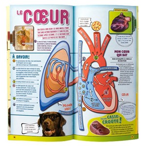 Coffret explore le corps humain