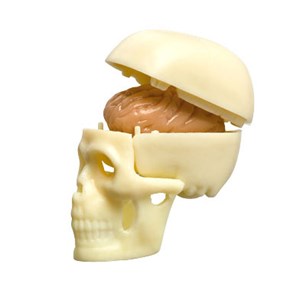 Coffret explore le corps humain