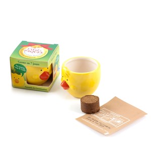Kit de plantation oeuf